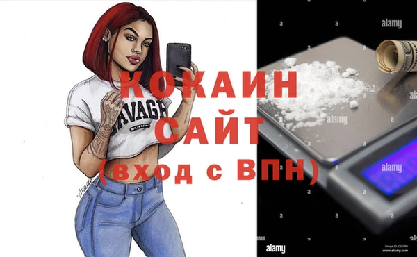 спиды Богородск