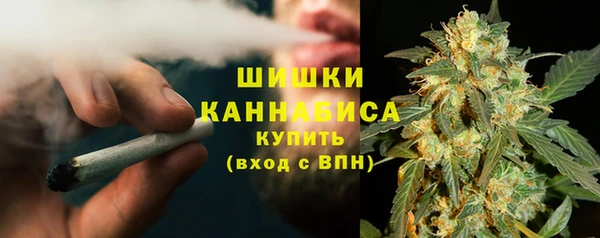 индика Богданович