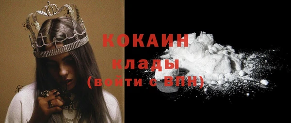 индика Богданович