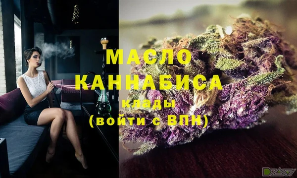 индика Арсеньев