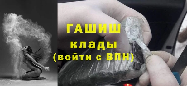 индика Арсеньев
