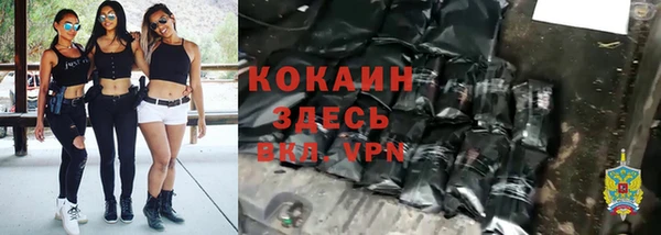 дмт Аркадак